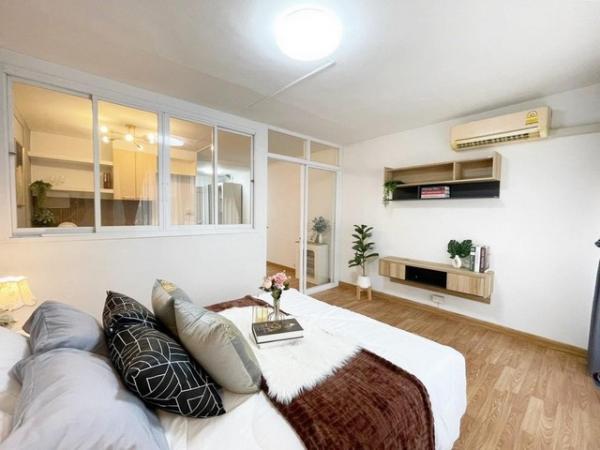 ��ºҧ�л� �� coasset22