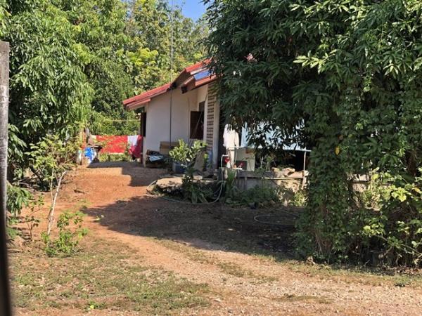 ��º�ҹ �Ԥ�����ٹʡŹ��