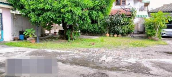 ��º�ҹ ���Ե��ا෾