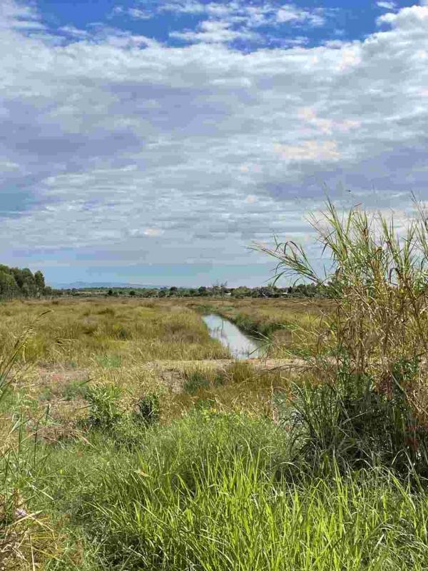 ���Թ������ ͧ��ѡ�칤ù�¡