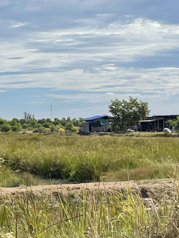 ���Թ������ ͧ��ѡ�칤ù�¡