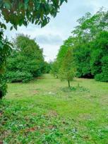 ��·��Թ �Ҥһ�С�Ȣ�� 9,900,000 �ҷ