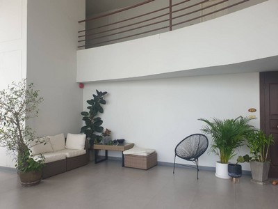 ��¤�ͧ�� �� incube