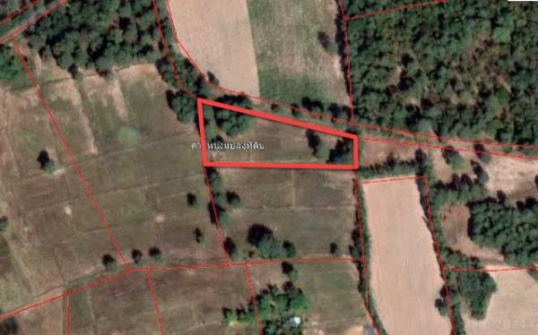 ����Ҫ���� �� natanong78