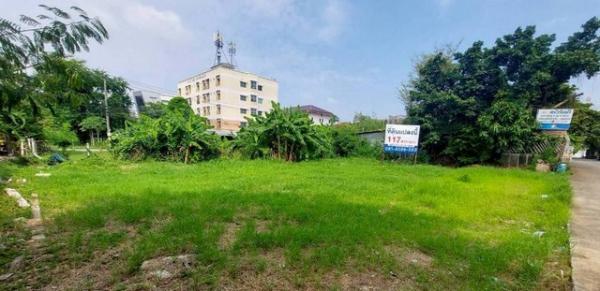 ��ا෾ �� sopa