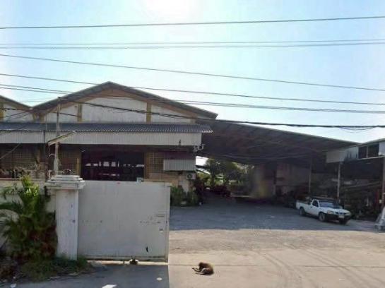 �����ҹ� �� 1000property