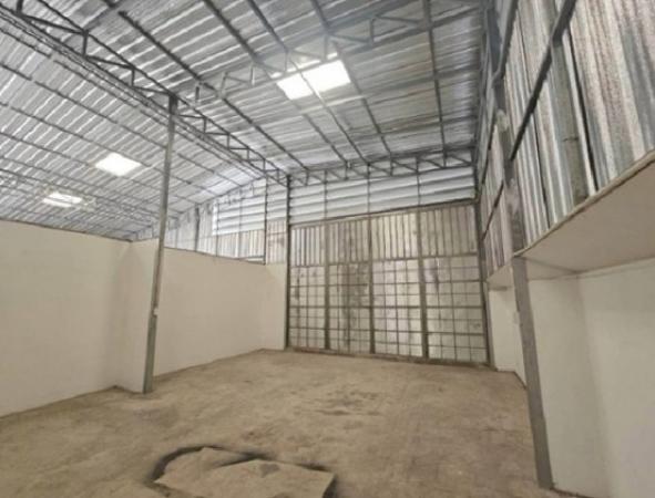 ⡴ѧ������������� �ѹ�����