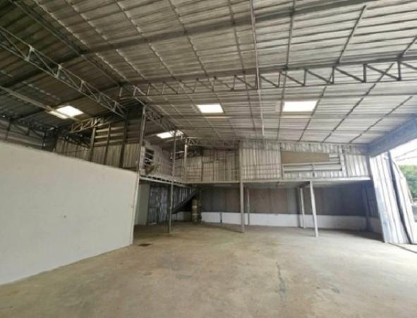 ⡴ѧ���������� �ѹ�����