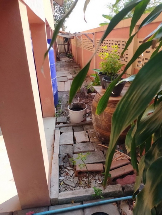 ��ҹ���Թ�ǧ�� �չ����