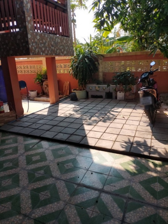 ��ҹ��������� �չ����