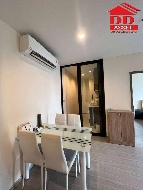 �͹� �Ҫ��� 50 ���ҧ����