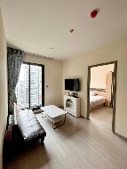 �͹� 50 ���ҧ����