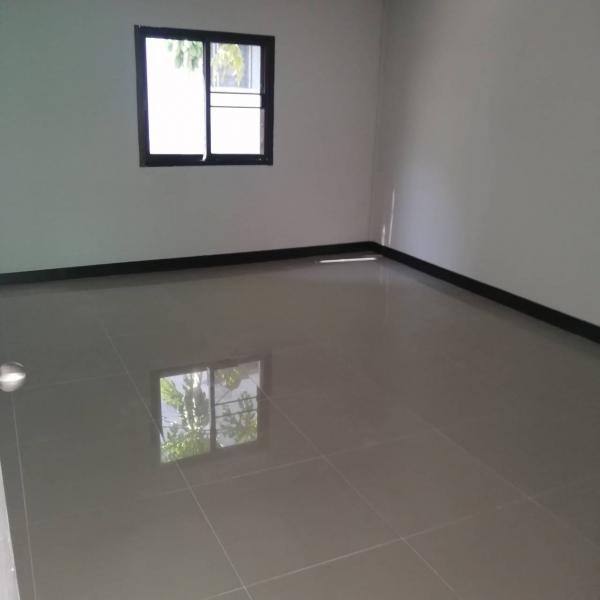 ⡴ѧ������ ����