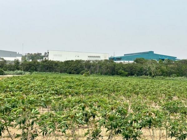 ���ͧ �� ataproperty22