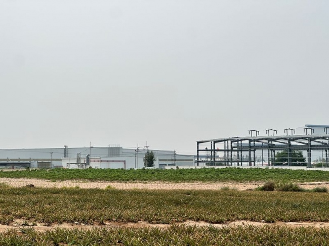 ���ͧ �� A House property