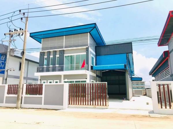 ����ç�ҹ �ҧ��Ƿͧ�������