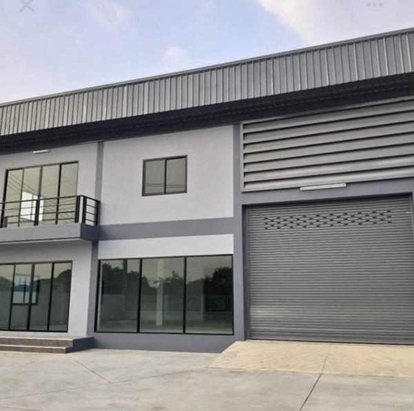 ����ç�ҹ �ҧ��Ƿͧ�������