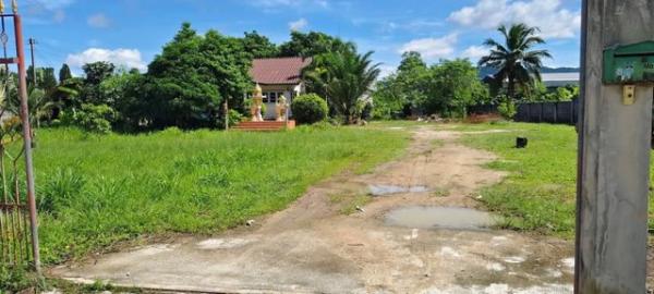 ที่ดิน บางพระ ชลบุรี
