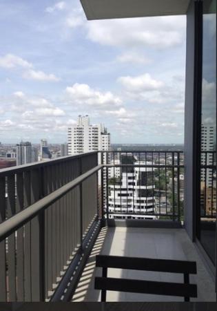 �͹��ա��ͧǧ�ûԴ �Ѳ��