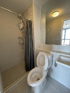 ������ �͹� �ҧ��Ѵ