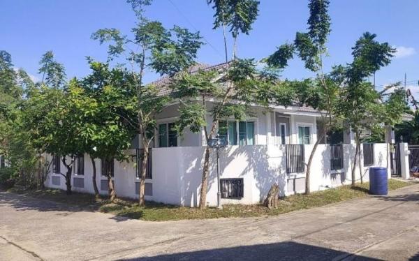 �ҧ�� �� �Ң�ѭ �Ź�����