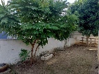 ҹ 54 ҧ