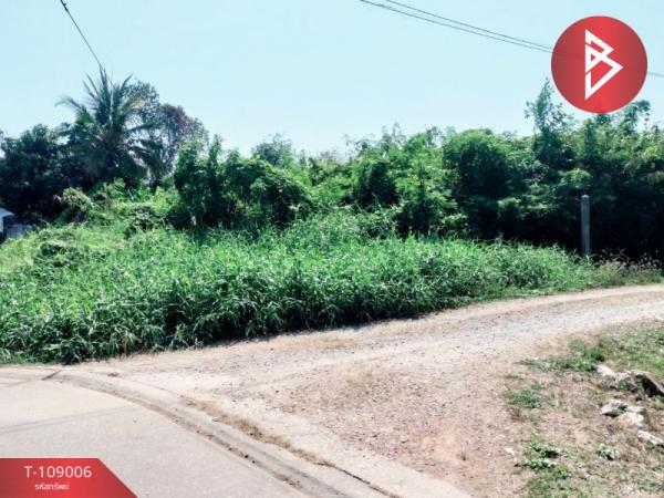 ��ɳ��š �� The Best Property Agent