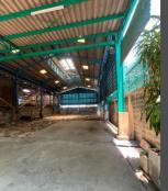 �������Ҥ�þҳԪ�� �ҧ������