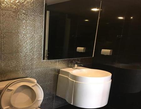 ��¤�ͧ�� �� incube