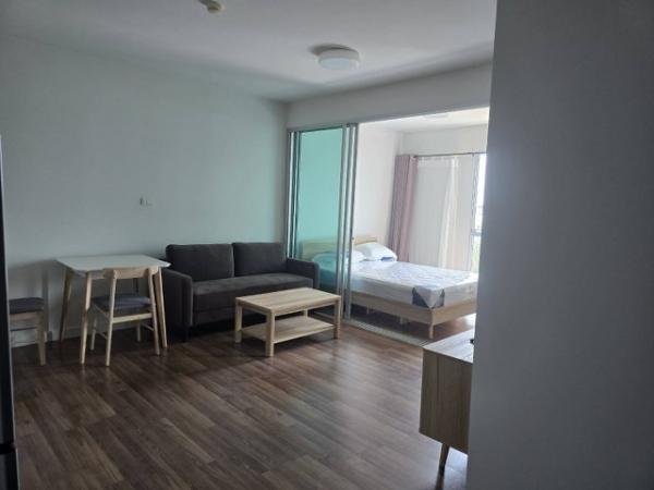 �͹����ͧ �� pazarestate1