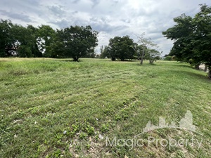 ขายที่ดิน บางพลี ขายที่ดิน บางพลี