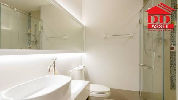 �͹ⴤ��Ǻ�Ƿ��Թ ��ШǺ���բѹ��