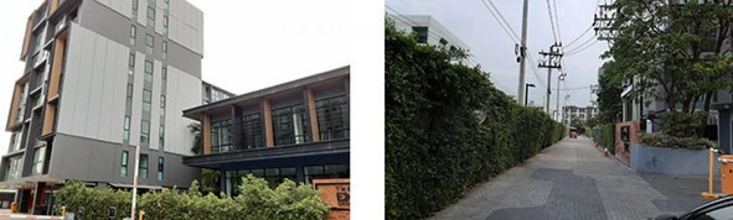 �͹ⴺҧ�� �� panaya.opalopal