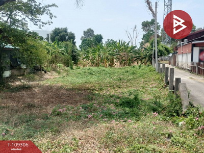 ��ɳ��š �� The Best Property Agent