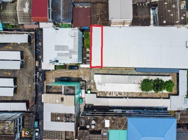 ����Ҥ�þҳԪ�� �ҧ��Ѵ��ا෾