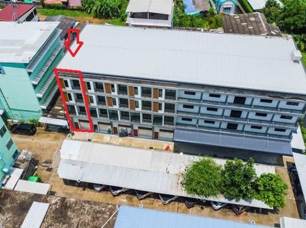 ����Ҥ�þҳԪ�� �ҧ��Ѵ��ا෾