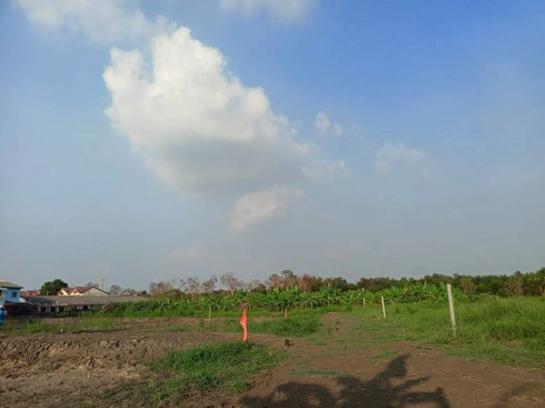 ขายที่ดิน คลองหก ขายที่ดิน คลองหก