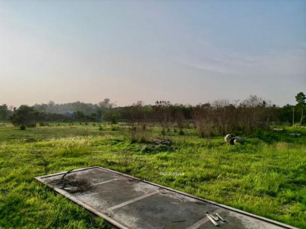 ที่ดิน บางพระ ชลบุรี