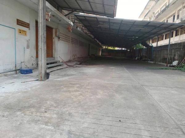 ��ط��Ҥ� �� 1000property