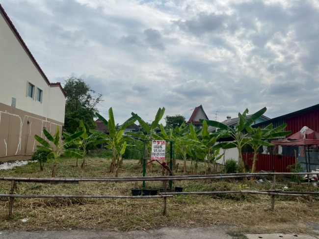 ���Թ���� �͹���ͧ