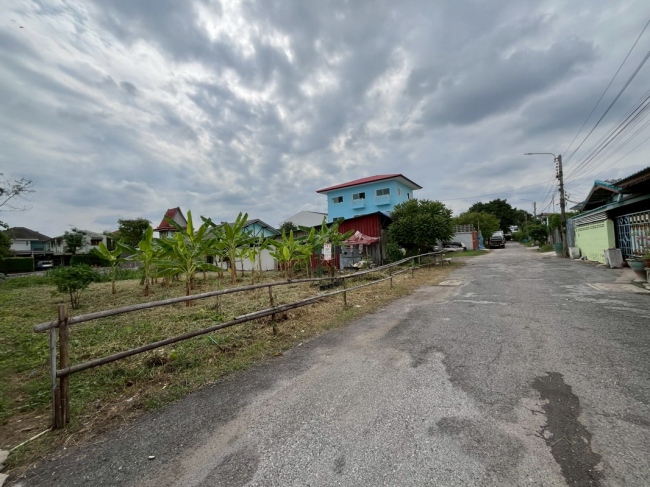 ���Թ�ŧ��� �͹���ͧ