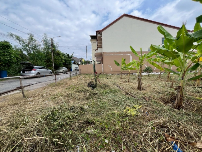 ���Թ˹�ҡ��ҧ �͹���ͧ