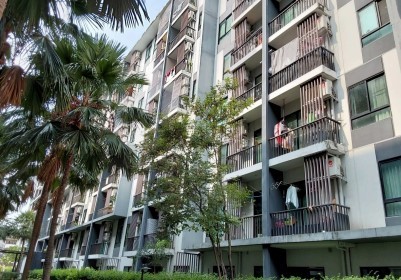 �ҧ�л� �� panaya.opalopal