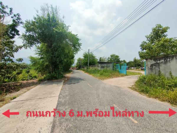 ที่ดิน บางพระ ชลบุรี