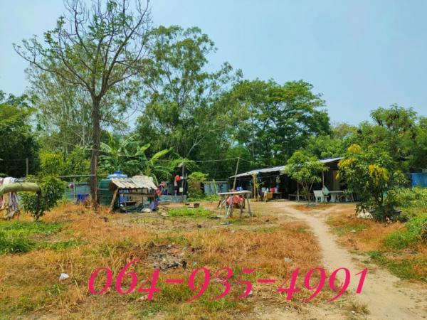 ที่ดิน บางพระ ชลบุรี