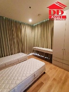 ��¤͹� �ҧ������ ��ا෾