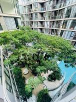 �͹� ��ͧ�� 33 ���ҧ����