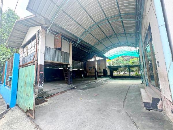 �ҧ�л� �� Kenestate