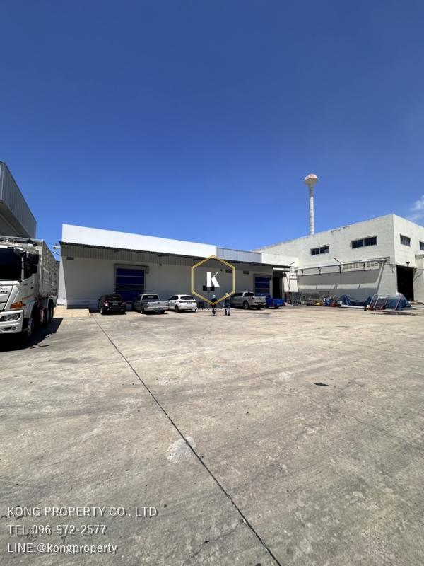 ���ͧ �� Kong property