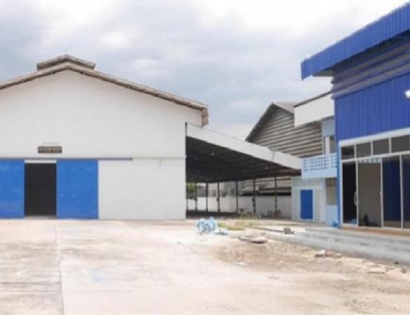 �չ���� �� sumalee intavong